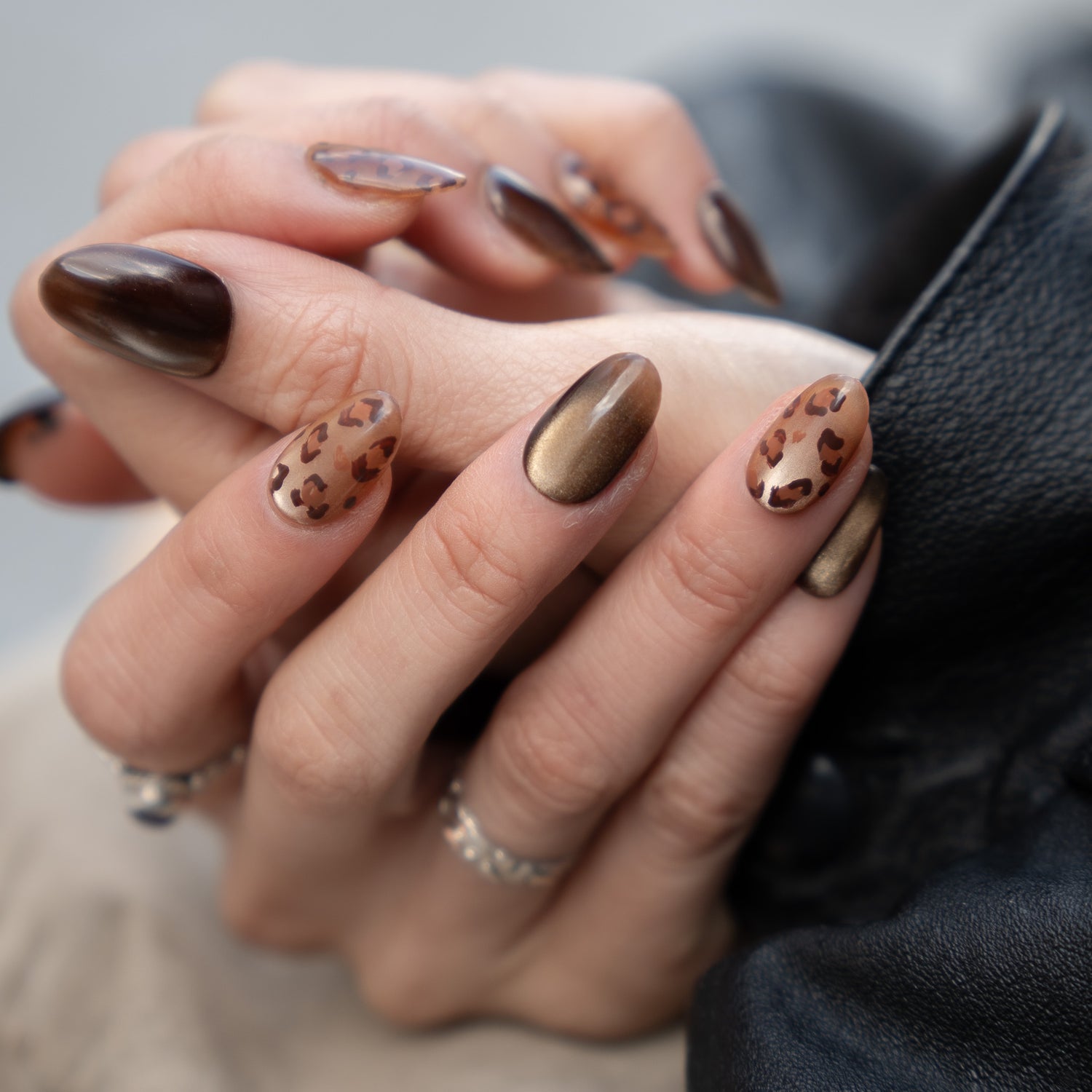 Brown Leopard